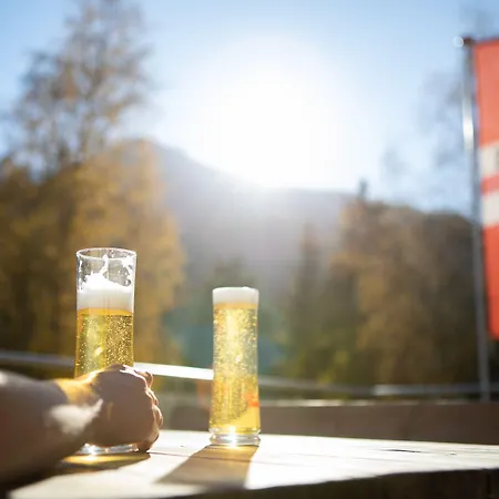 Wildrose Отель Нойкирхен-ам-Гросфенедигер